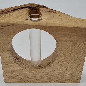 single-flower vase with its test tube